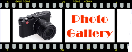 The Photo Gallery