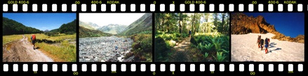 NZ snap banner