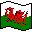 Welsh Flag.
