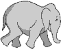Jumbo walking