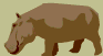 Hippo wandering